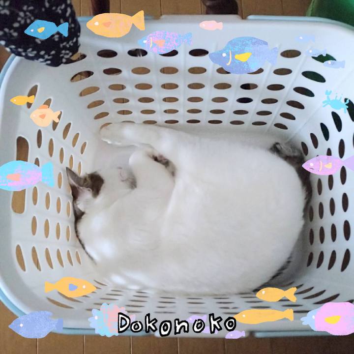 0d3fb37e 98ac 4e6a a554 7a74b4dd7100 1755161578299