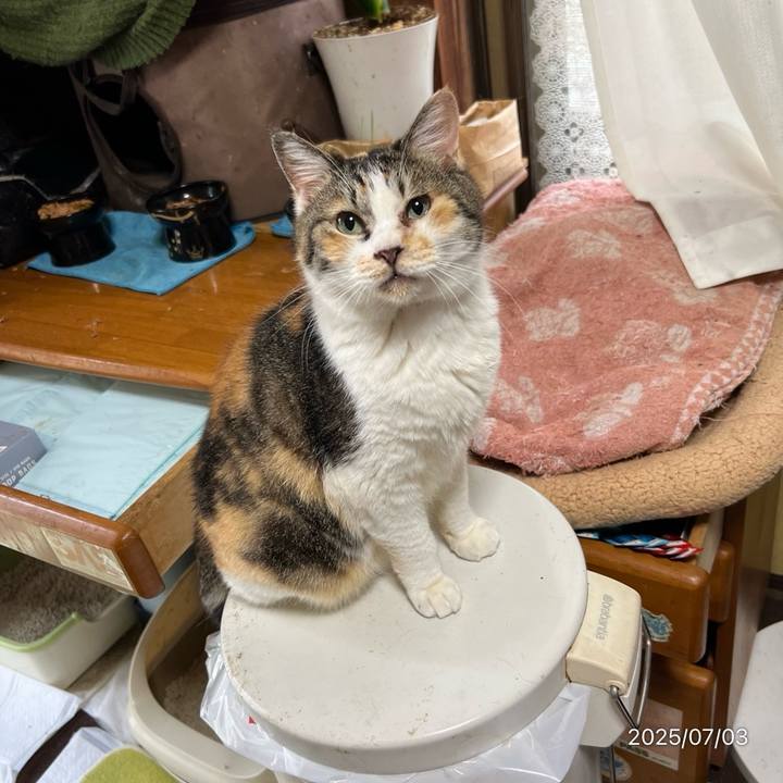 0d3fbef1 8e02 42ba 9a2b 9a4d4ad9fd04 1751493887552