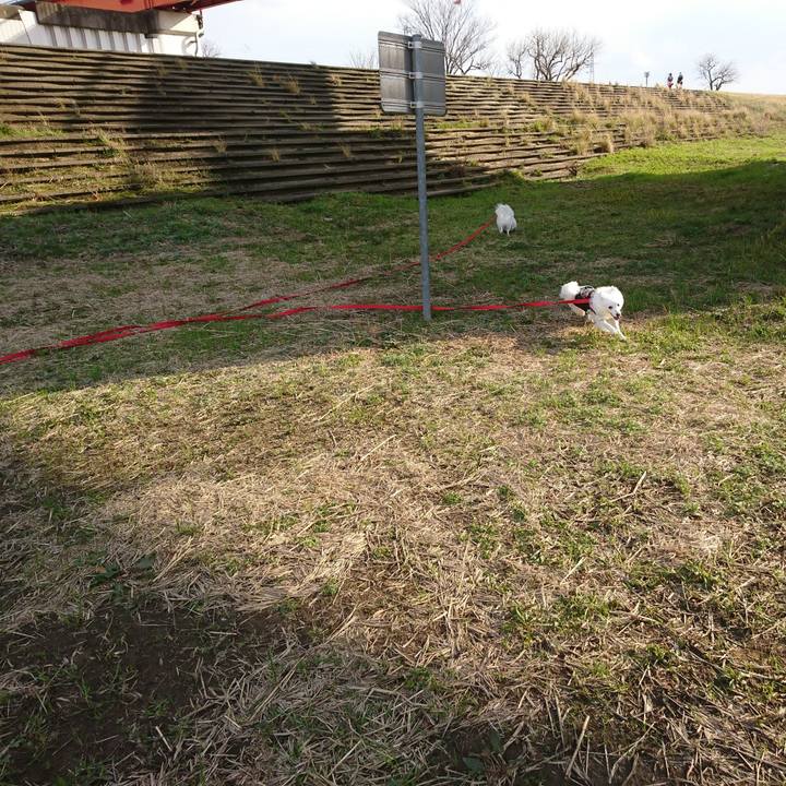 0d407cde 71fd 4e34 9b55 87c8bdc11329 1584267284932