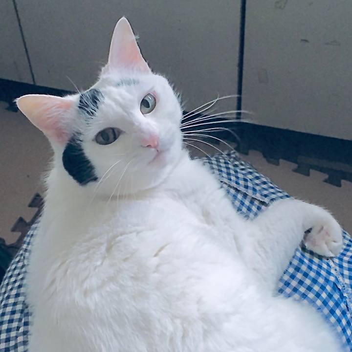 0d409425 0655 4675 addc eda16c75d6d4 1592867206566