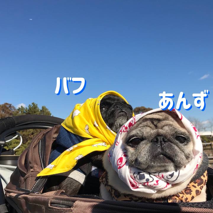 0d40a863 9297 480f b8f1 c39a7e64a75a 1546078744428