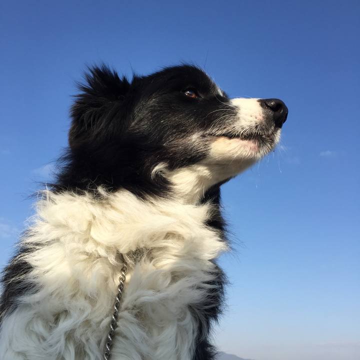 0d40acbd a891 4f9e b3a6 f992dad6c8da 1548721540024