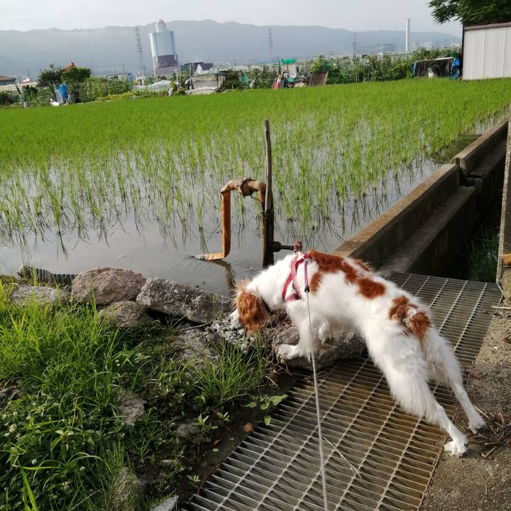 0d40ad2a 405a 4b46 ad8b b6e000403643 1593224395704