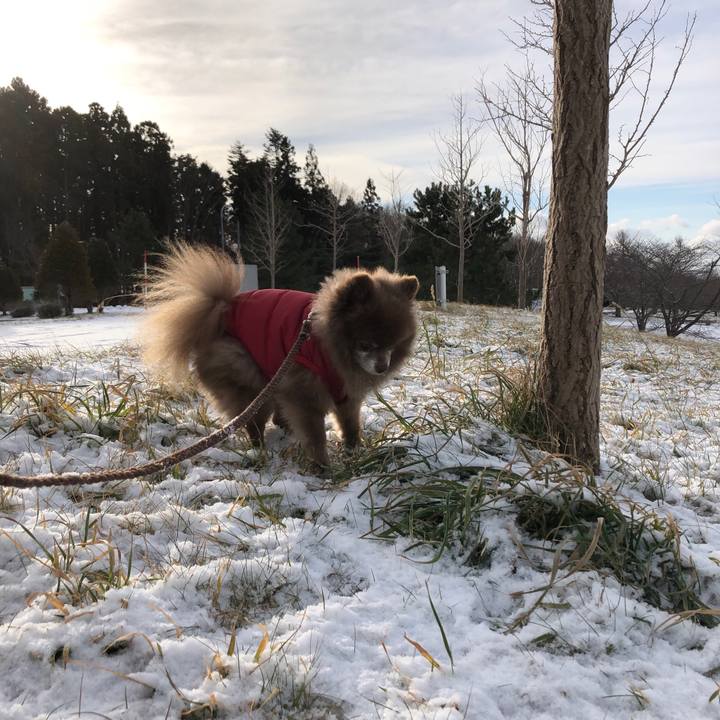 0d40b13b 0461 41bb a031 6de773bc933f 1639872297794