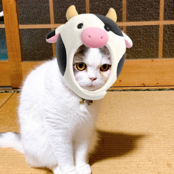 0d40b21e 52f9 4ae3 ba1a 876036492401 1610185452164