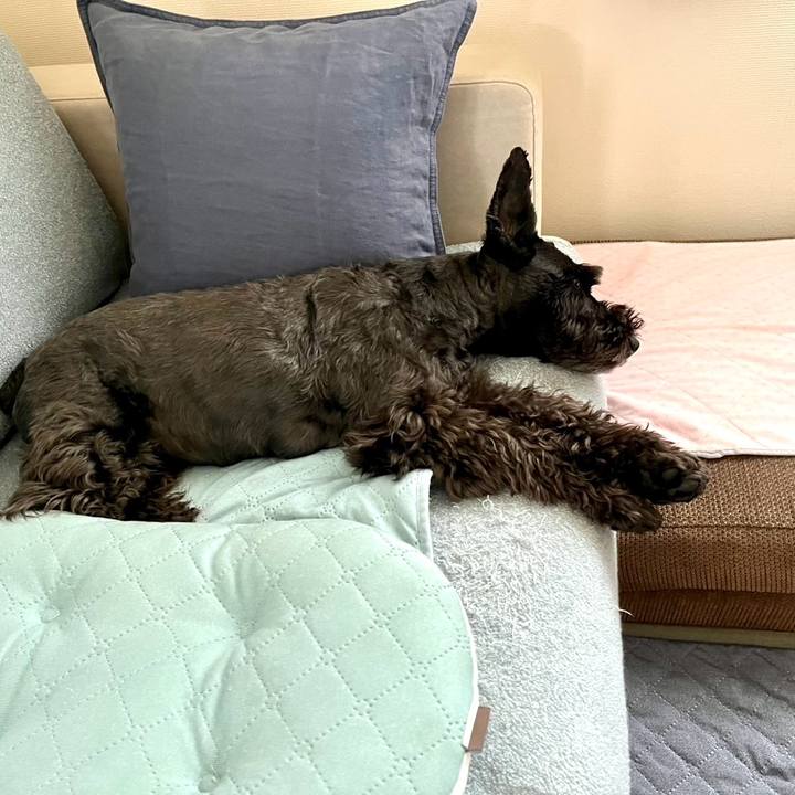 0d40b676 b5b2 4eb5 9136 365f48c25e4f 1751498936950