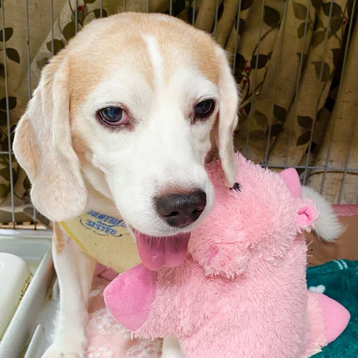 0d40bdab d97e 4aac 9032 dd70339815c3 1634009915633