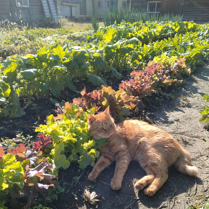 0d40fdc5 d7a9 41e6 9b1b fe4d801335a9 1698129512428