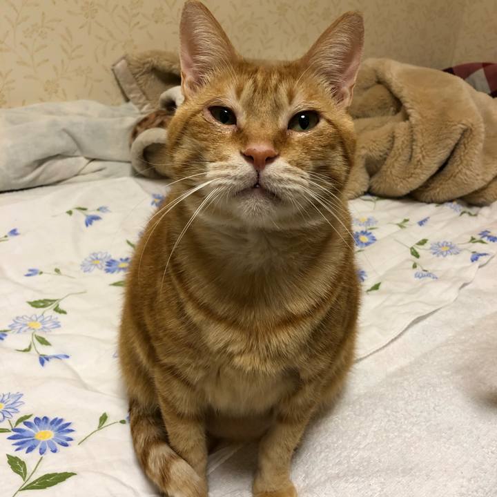 0d410456 e5f3 4af9 8484 f6dd20ecfd44 1575470364892