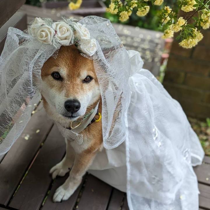 0d4126a3 31cb 4d86 85d4 e35a79f0e4dd 1714137788413