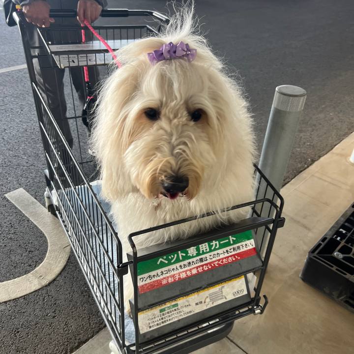 0d412c21 197b 41ad 8d3c 72ce3c1dfe1a 1777159406799