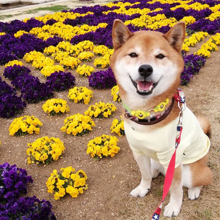 0d413fbf 703c 4fac a97a c9f9da108084 1647264723922