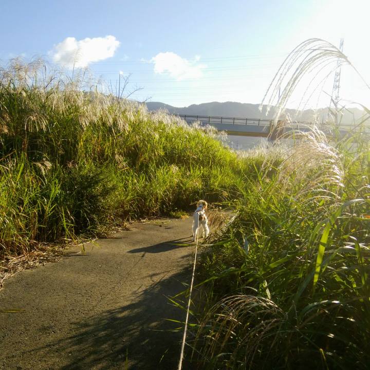 0d414c51 0529 48d7 906c 98f0a1473165 1538958379625