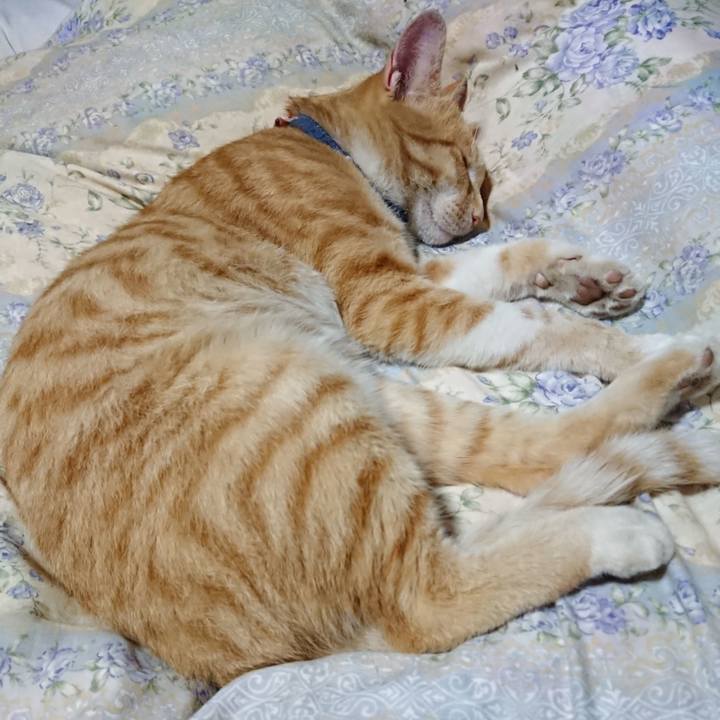 0d4157e9 d1ab 4581 a43b 0f614583ee9d 1562762947811