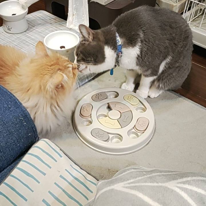 0d416d47 bb0a 41e6 ba27 bbb03e88cb03 1712408151435