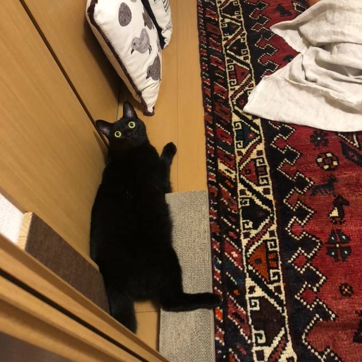 0d418b65 15a3 495e 9367 41bf6a4cfd07 1558703880976