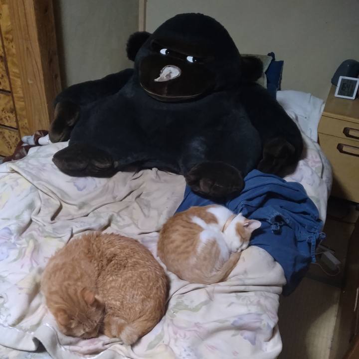 0d41e68d 960c 48e7 b6b3 df5f02252595 1735890430269