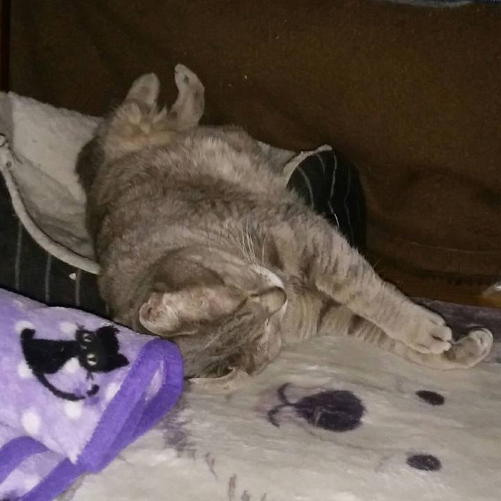 0d41fe5a 2781 4236 be98 e186ea24c670 1554115684835