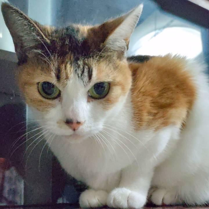 0d420ce1 2640 44e8 8a71 0a5968bdd590 1672300841759