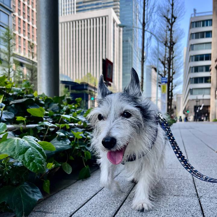 0d421304 4d51 46a5 b9a6 428d2bd3a8a9 1649574419056