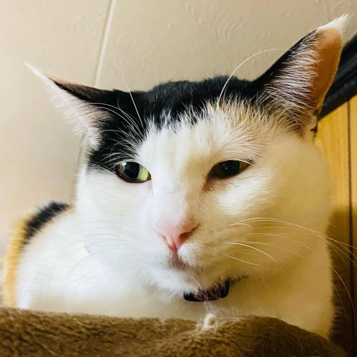 0d42450a 3ea7 4062 b3cb 477ada4542f9 1676240788447