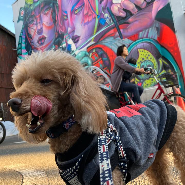 0d42797c d8b3 4123 9278 ffa0bc33abd2 1667796322690