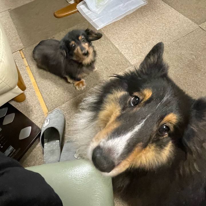 0d428ba1 b808 46e8 9f56 f8151c11488a 1667296282985