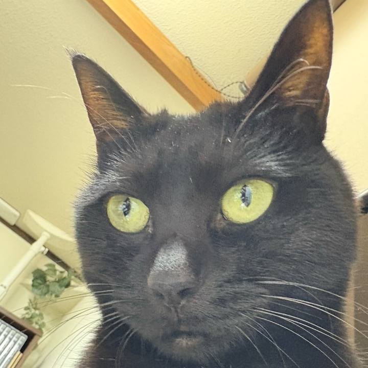 0d42e7a9 4977 4276 9afa 190b83c647aa 1766062171787