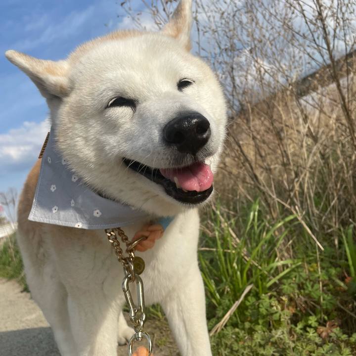 0d433fd3 c027 430d 9a5b b32a0b832d94 1680425751820