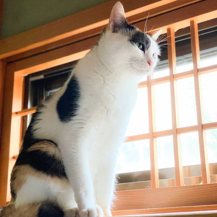 0d4340d9 3ae0 4a05 8044 6bc78bce8ee1 1568518739211