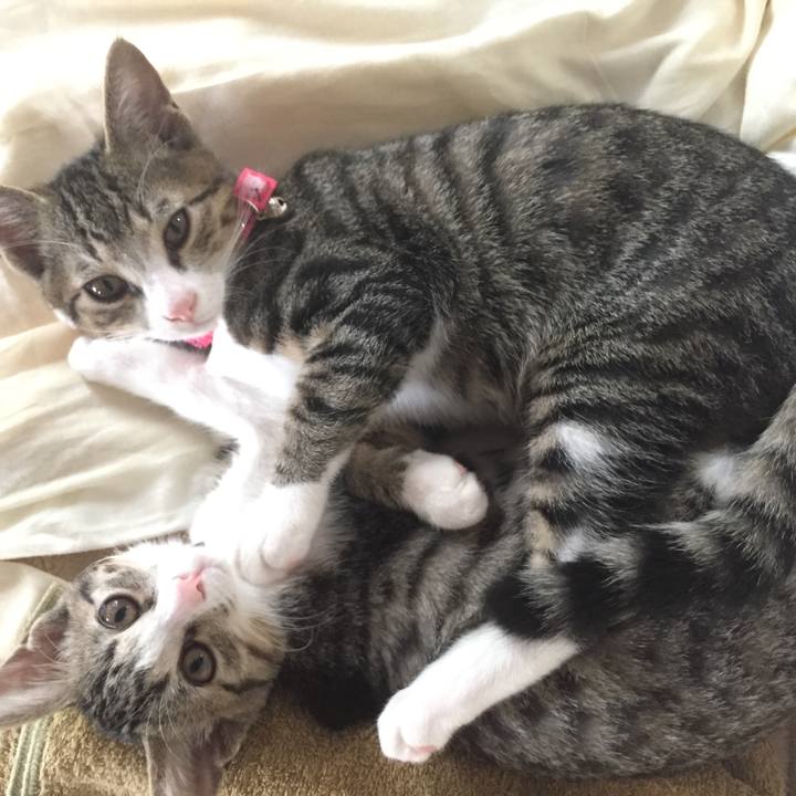 0d4348c4 b80e 4a52 81a8 da5b2d61faac 1657899742185