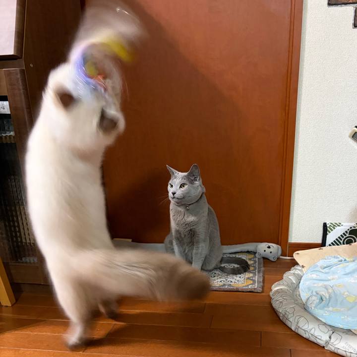 0d436141 b8a6 44bf a27f 270d563c3dd7 1773153591582