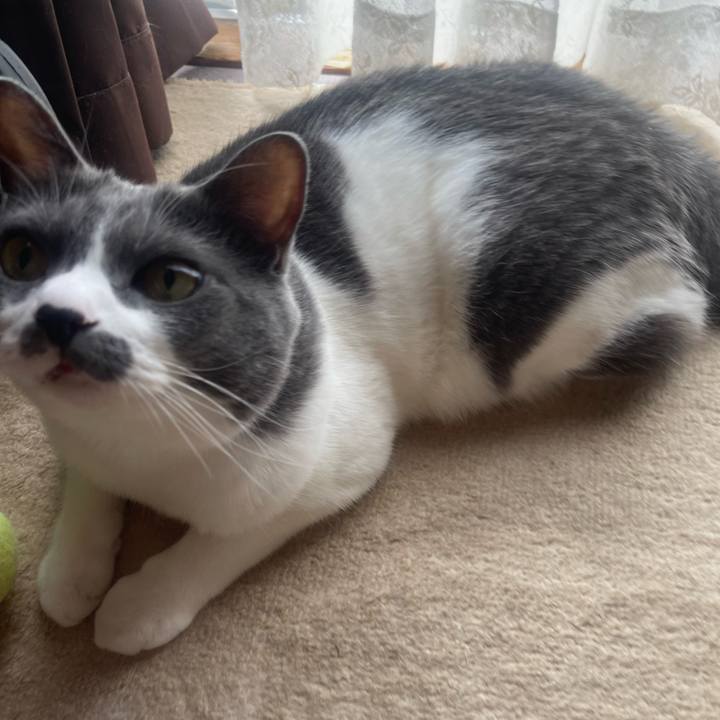 0d437c48 7f9b 4c31 87be a04b4fa5853d 1758242850343