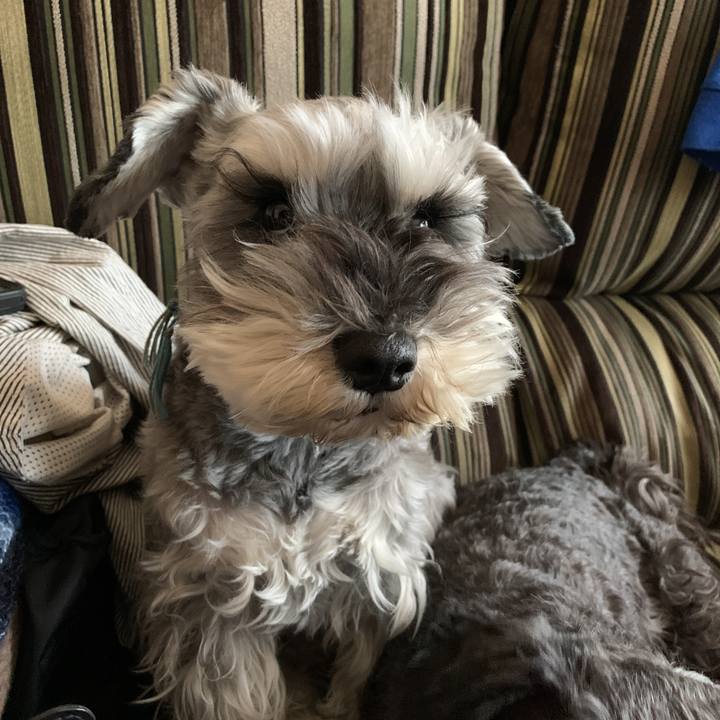 0d438521 c2df 4f9f 8b47 706d0a019793 1587778316028