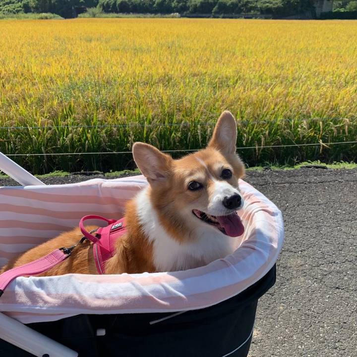 0d439955 7cdf 410c b1ab 837e294917bc 1696297142753