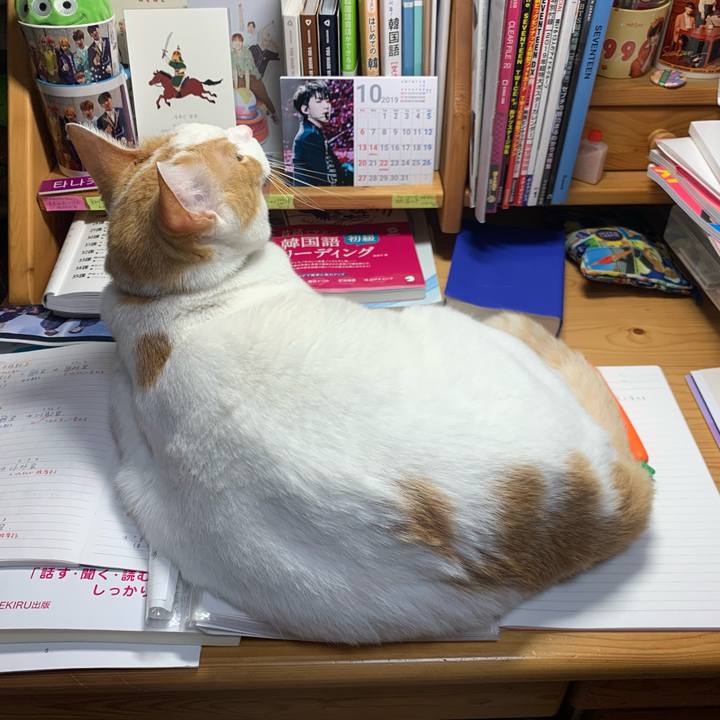 0d439ea8 64fa 43ea ab3d 584ecd106bf6 1571059272258