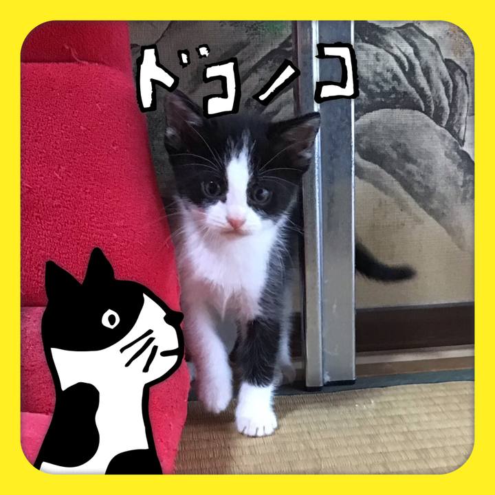 0d4406e2 c99f 451c 864c 2a1fa7e984ae 1622969941903