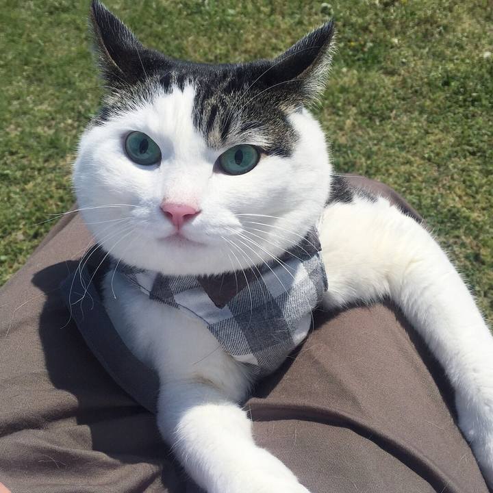 0d44397b 2063 4ad4 bc81 7213cc5a19fe 1524396135502