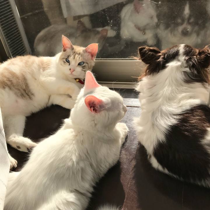 0d444b2c f401 4cd1 8176 43c4cfd2c482 1512274749624