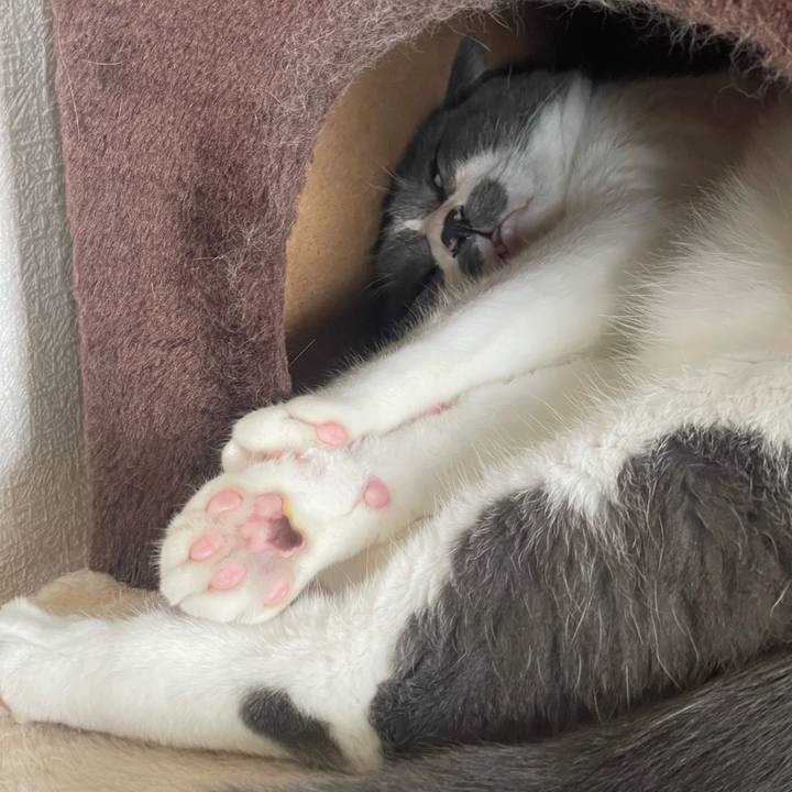 0d44b170 0bc8 4753 b02b e44ff99d1f3d 1755057459018