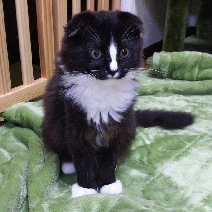 0d44b472 d14e 4c02 9a98 b4666d267d41 1641468921305