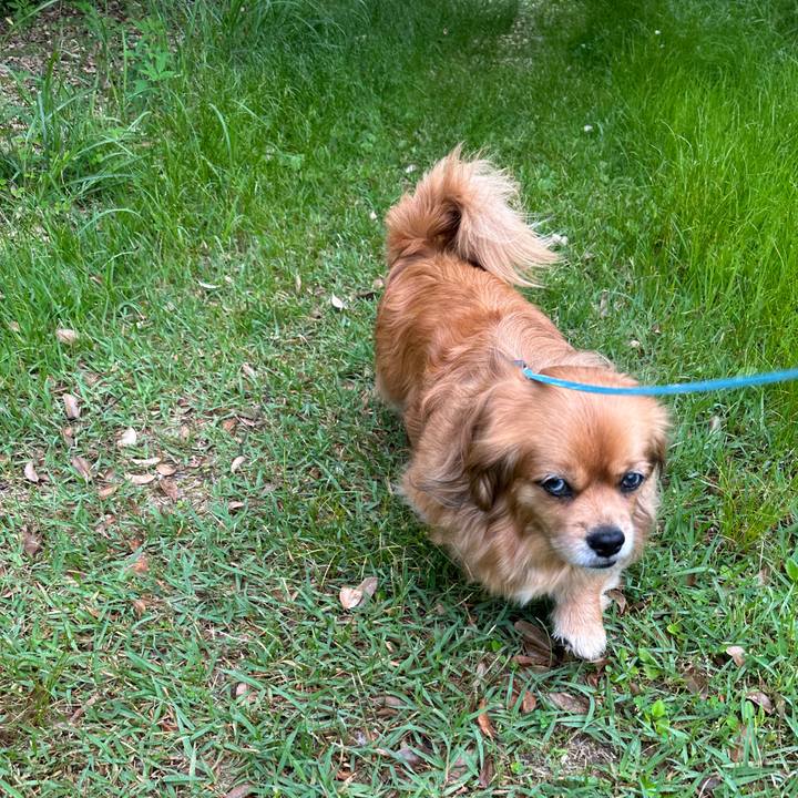 0d44b6f3 a4f0 49a8 904b a3b779d36c46 1685061396163