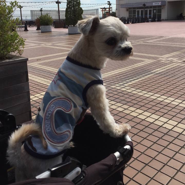 0d44d30f 1ec0 4774 a24d ff32a6d6c6d8 1534587978889