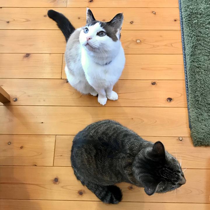 0d450f55 6496 43f8 81dd a1ee384d6964 1580435343624