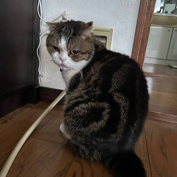 0d451662 7552 4a39 b156 32621edc02d8 1774773998289