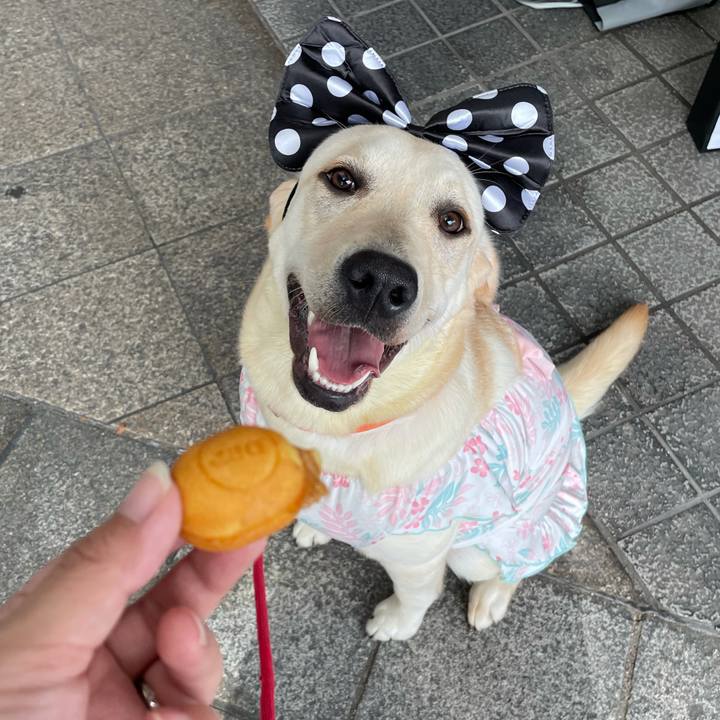 0d45321d 3f81 4180 9bff 648780c923f9 1632465223131