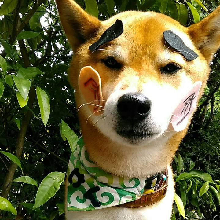 0d4567f0 9cc3 40bc 807c 76a72a8016cf 1559101242272