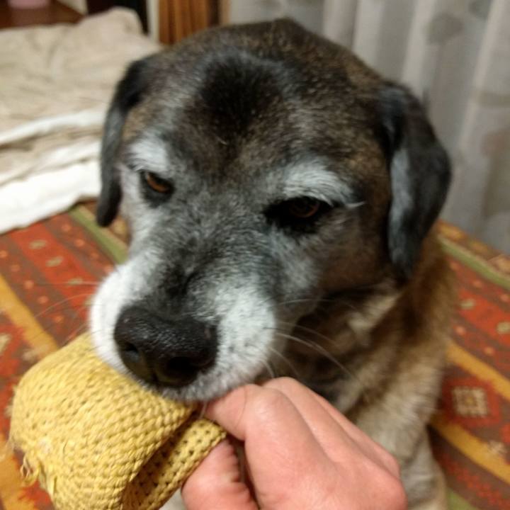 0d456f8a d95f 475b ae27 ba53e44e9ea9 1517481576633