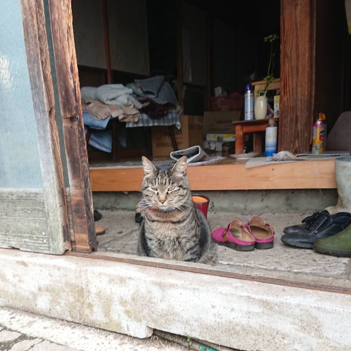 0d459887 4804 455b b57c 8a5611aa0470 1658352977759