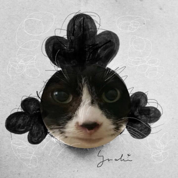 0d46068d 5198 4dc5 97ba 01087f135e53 1514627693872